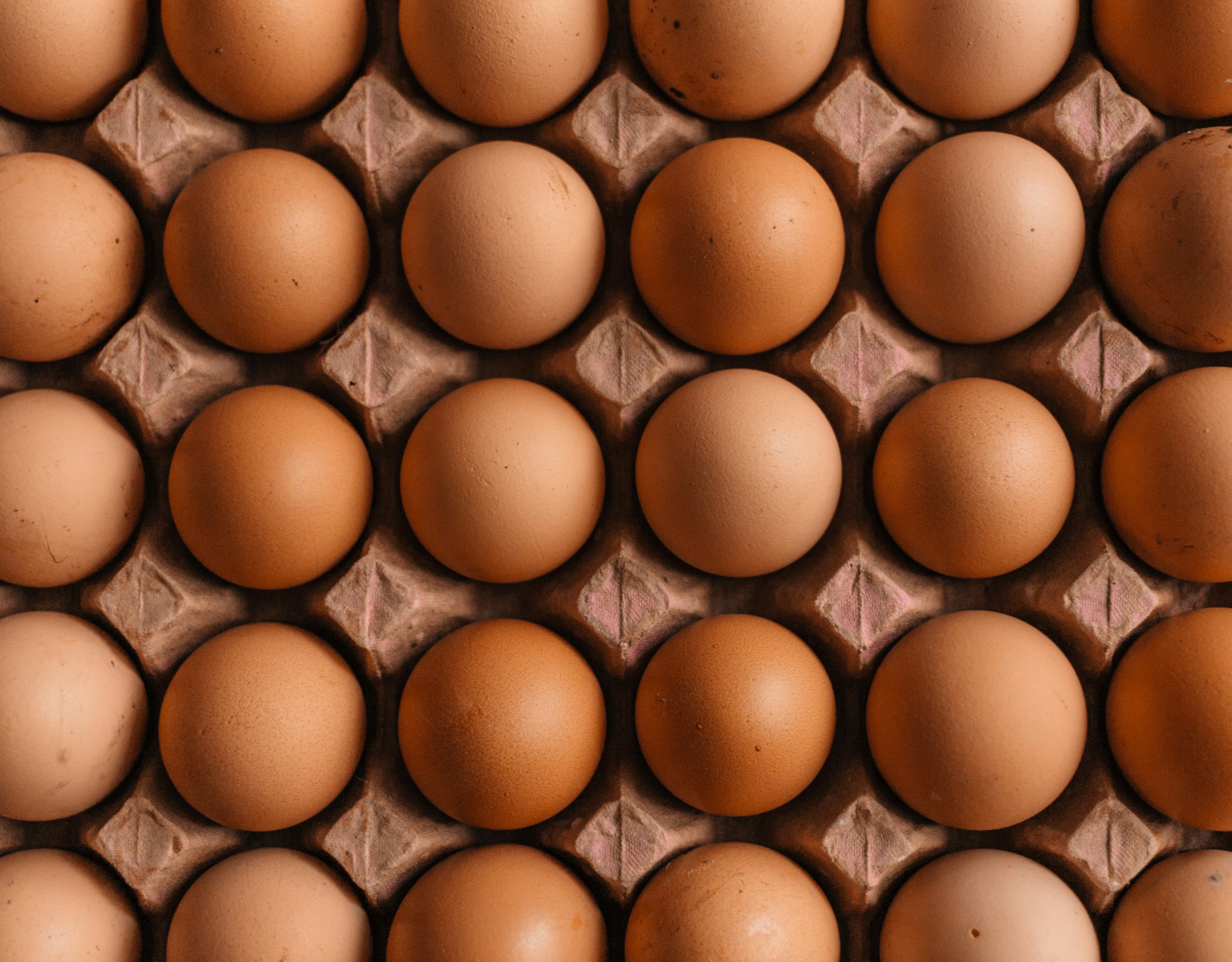 What You Don’t Know Yet About Eggs
